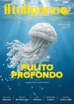 Il Tulipano Pulito profondo - al 19.08.2026