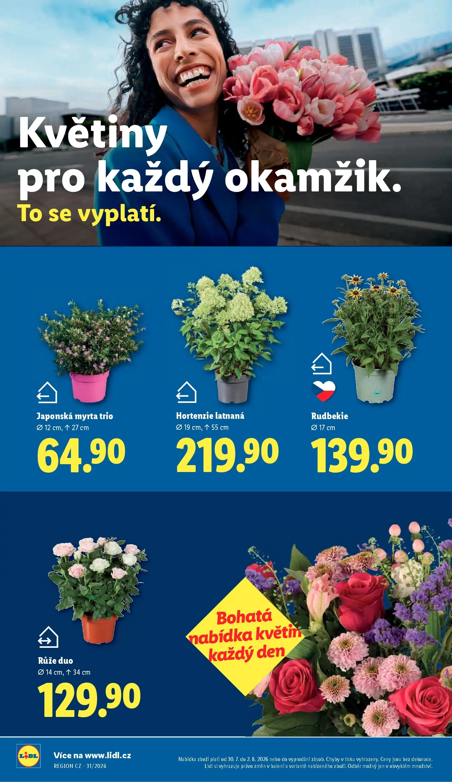 Lidl leták od 30.07.2026 - Nový akční leták | Strana: 16 | Produkty: Květiny