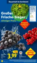 Lidl: Wochenangebote