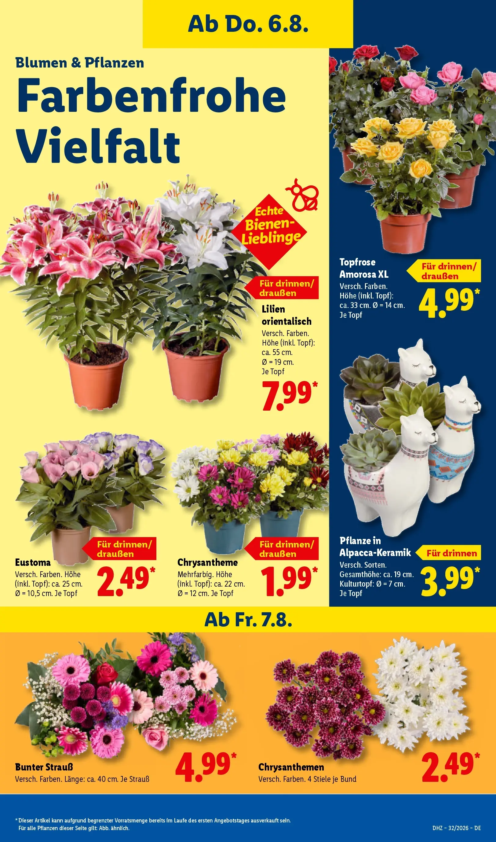 Lidl Prospekt Nordenham (ab 03.08.2026) ยป Angebote online | Seite: 7 | Produkte: Blumen Lidl Prospekt Nordenham (ab 03.08.2026) zum Blรคttern ยป Angebote | Seite: 7 | Produkte: Blumen