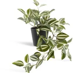 JYSK Plantă artificială ASGAR 48cm verde
