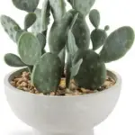JYSK JYSK Plantă artificială GILLIAN &Oslash;20x22cm