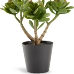 JYSK Plantă artificială JOSTEIN 23cm verde