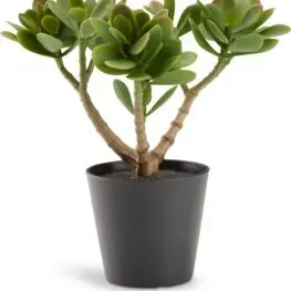 JYSK Plantă artificială JOSTEIN 23cm verde
