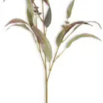 JYSK JYSK Floare artificială GLENN 61cm verde