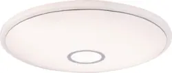 LED-Deckenleuchte Ross max. 30 Watt Deckenlampe