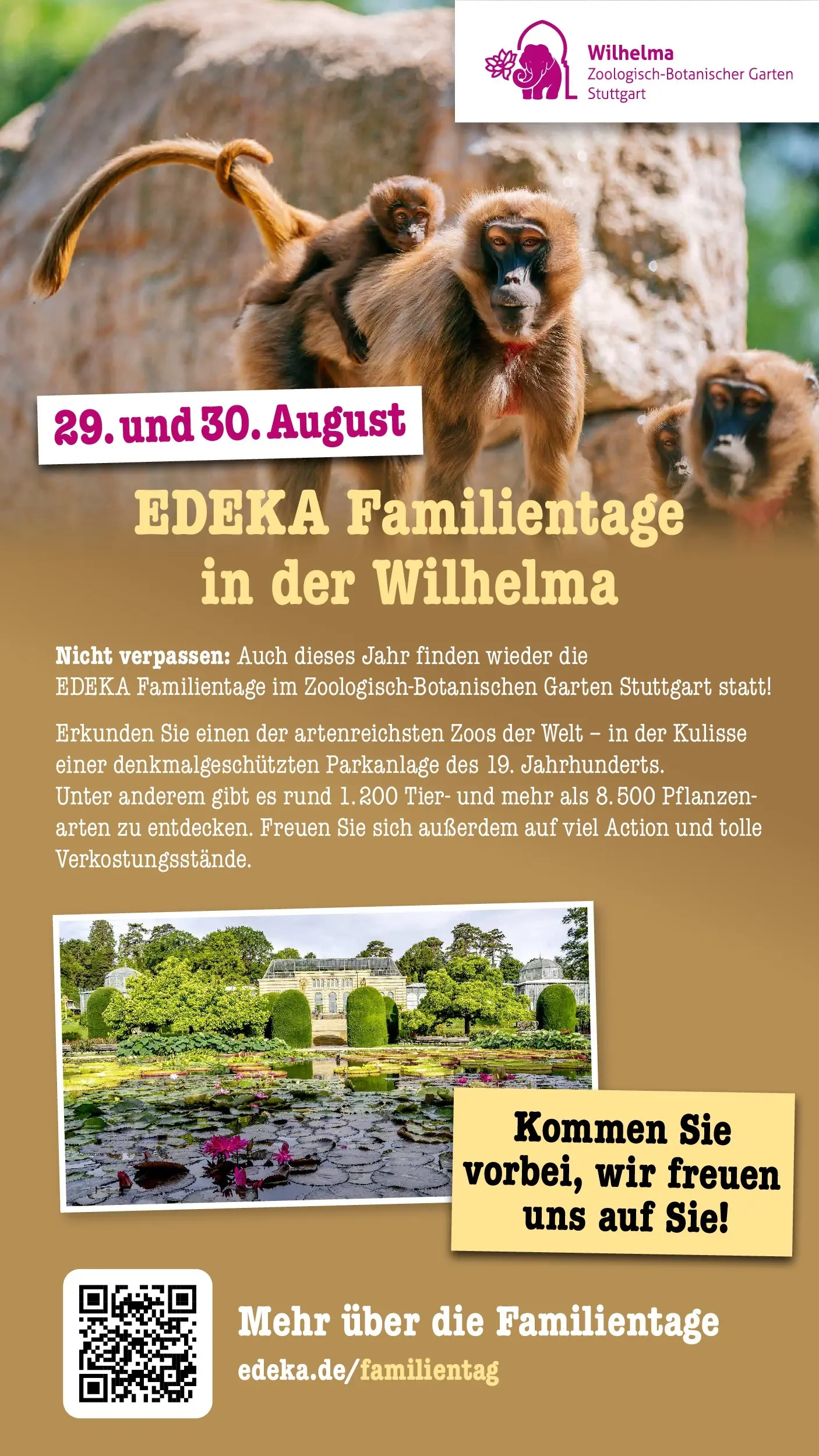 Edeka Prospekt Offenbach (ab 27.07.2026) ยป Angebote Online | Seite: 67 Edeka Prospekt Offenbach (ab 27.07.2026) ยป Angebote Online | Seite: 67