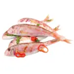 Mix Markt Meerbarbe (MULLUS BARBATUS), frisch - bis 01.08.2026