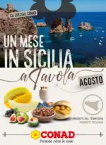 Pac 2000 A Soc. Coop. R.L. Un mese in Sicilia - Agosto - al 16.08.2026