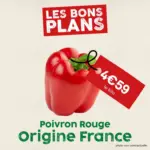 So.bio Nos Bons Plans de la semaine - au 02.08.2026