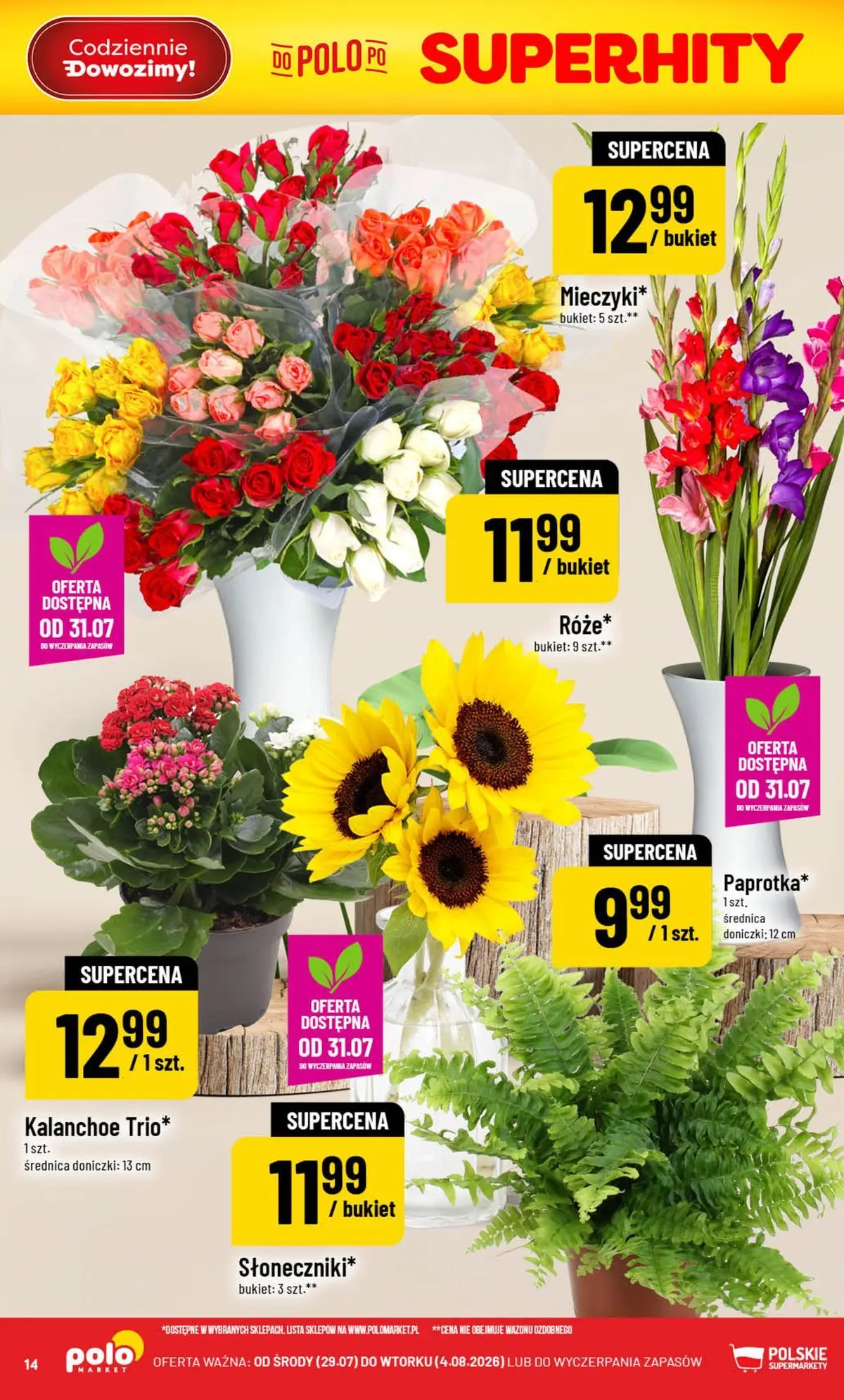 Nowa POLOmarket gazetka od jutra 29.07.2026 | Strona: 14 | Produkty: Doniczki, Kalanchoe