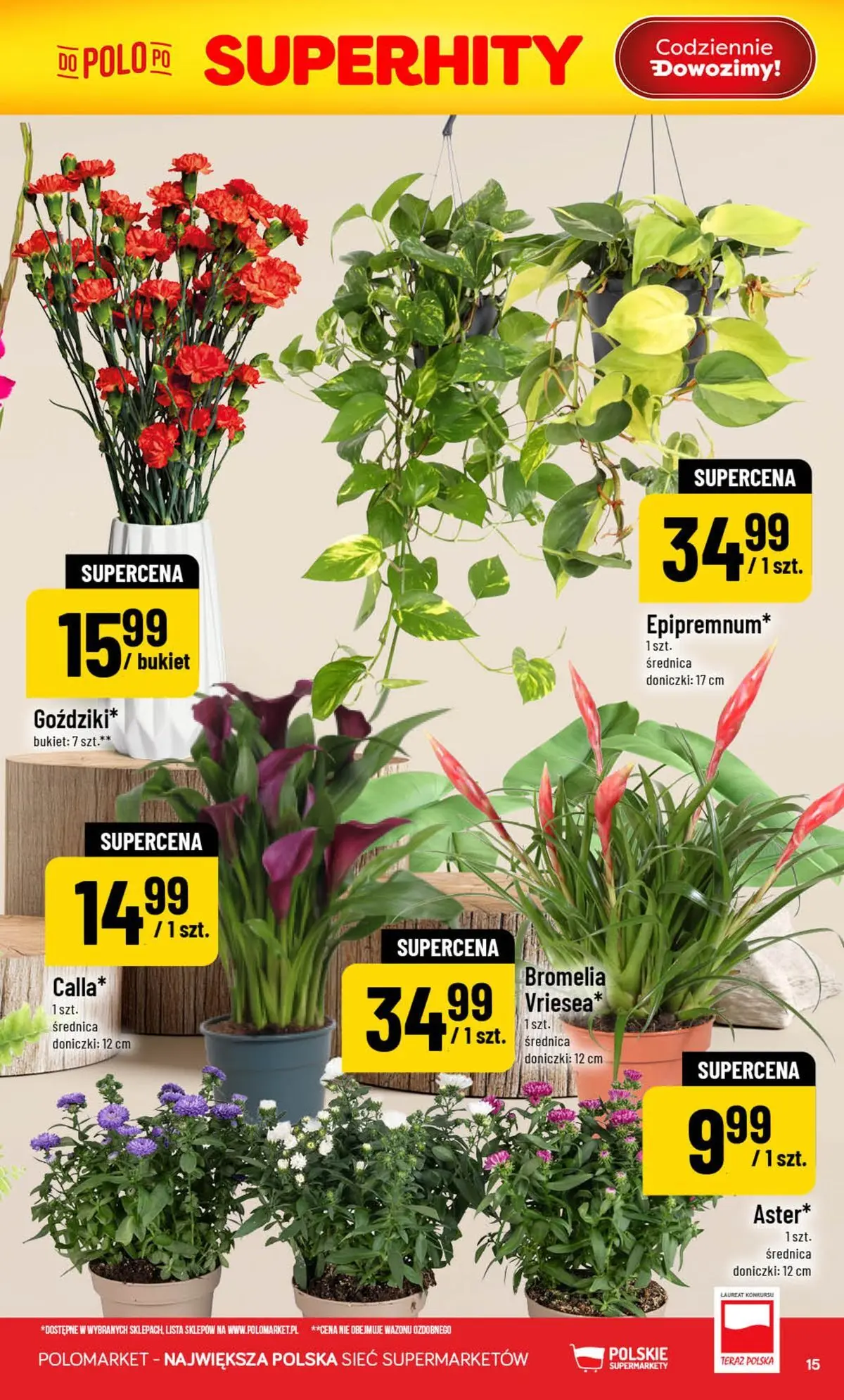 Nowa POLOmarket gazetka od jutra 29.07.2026 | Strona: 15 | Produkty: Doniczki