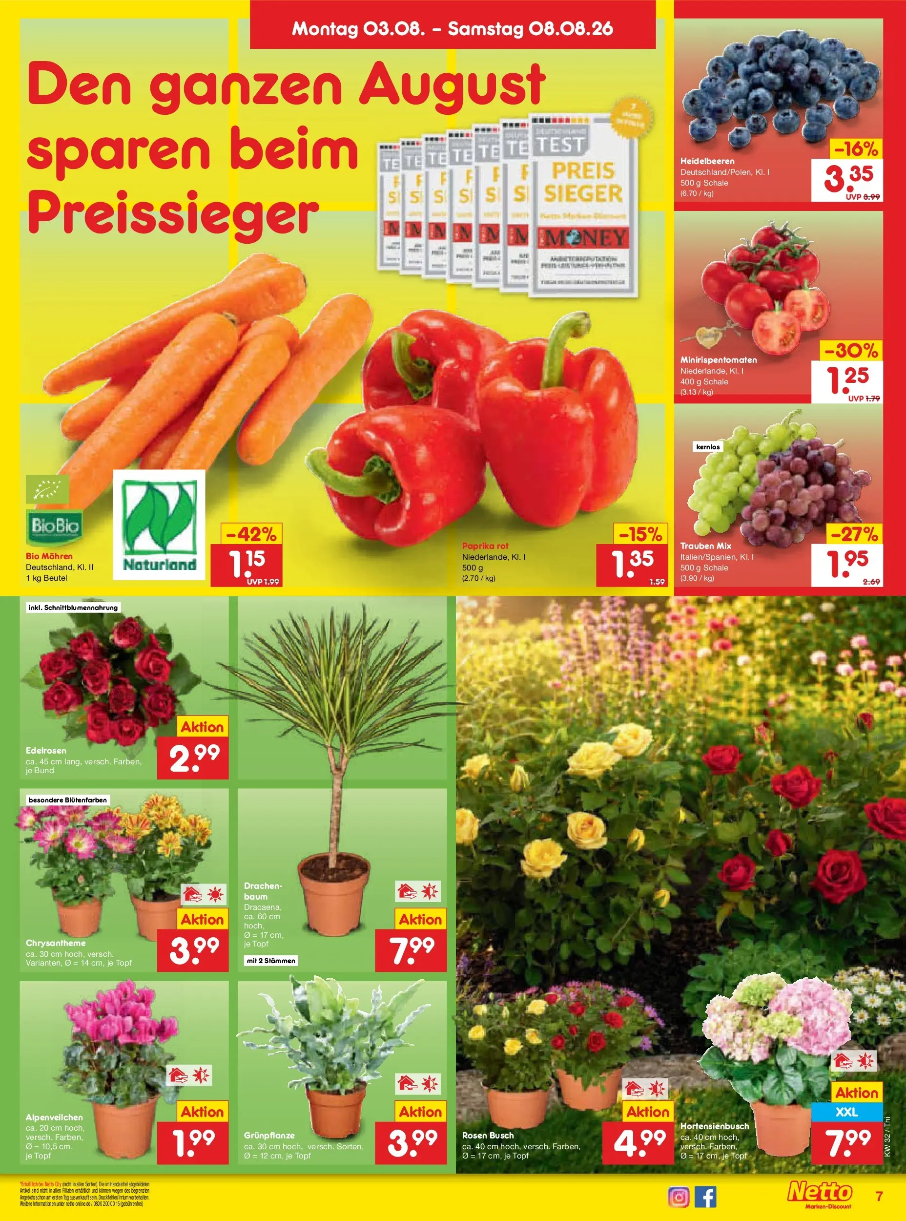 Netto Marken-Discount Prospekt Thiendorf (ab 03.08.2026) » Angebote | Seite: 11 | Produkte: Paprika rot, Mohren, Heidelbeeren, Paprika
