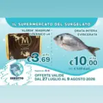 Zerotto Surgelati Il supermercato del surgelato - al 09.08.2026