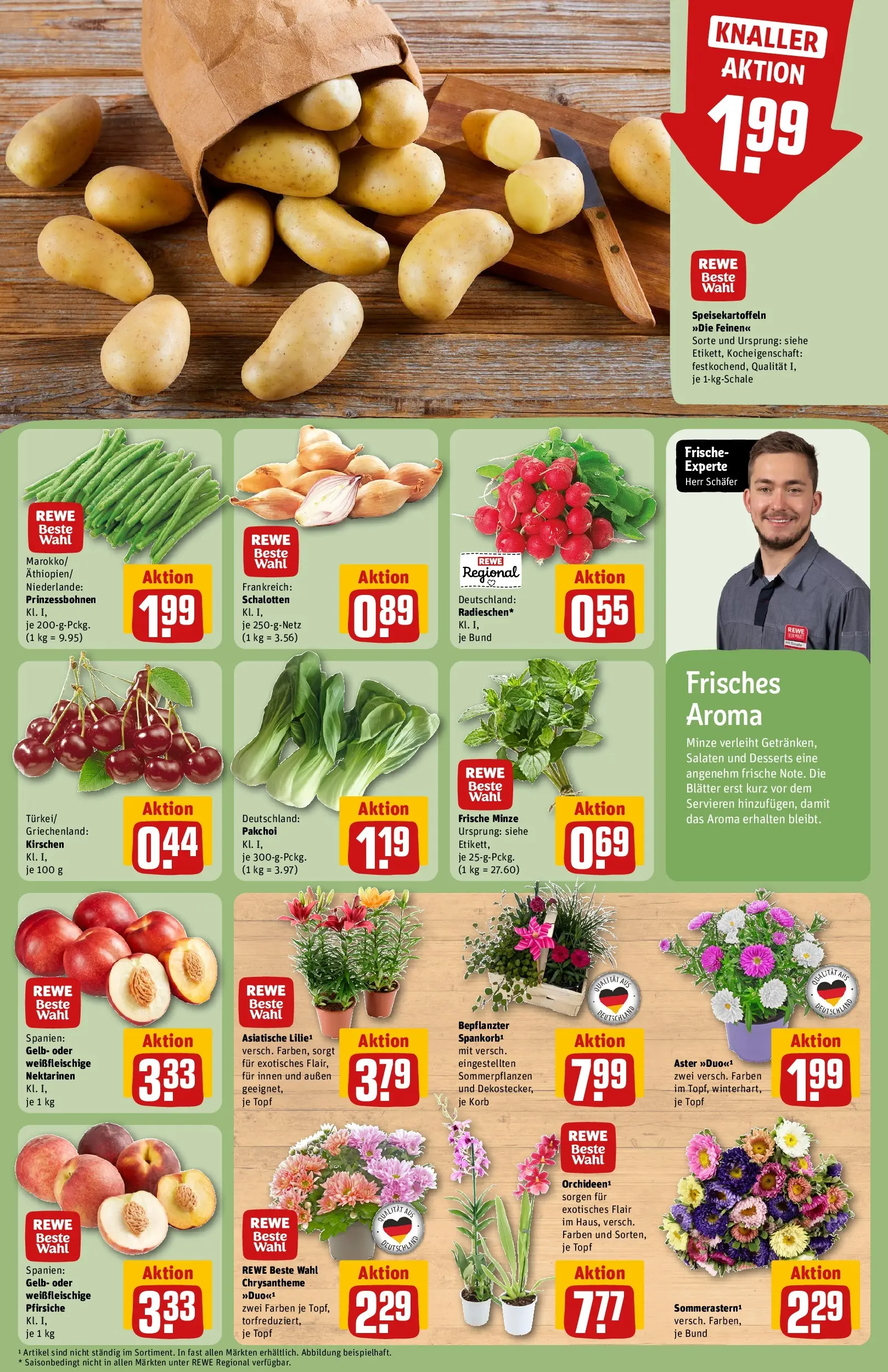 REWE Prospekt ab 03.08.2026 zum Blättern » Angebote | Seite: 7 | Produkte: Nektarinen, Korb, Kirschen