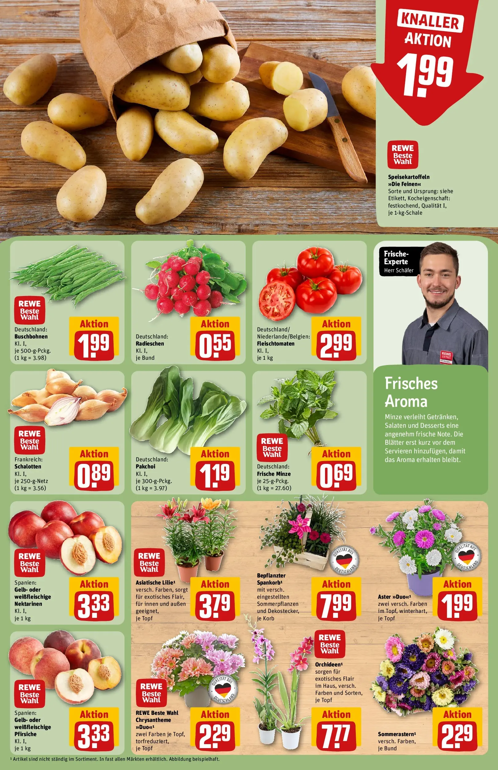 REWE Prospekt ab 03.08.2026 zum Blättern » Angebote | Seite: 7 | Produkte: Nektarinen, Korb