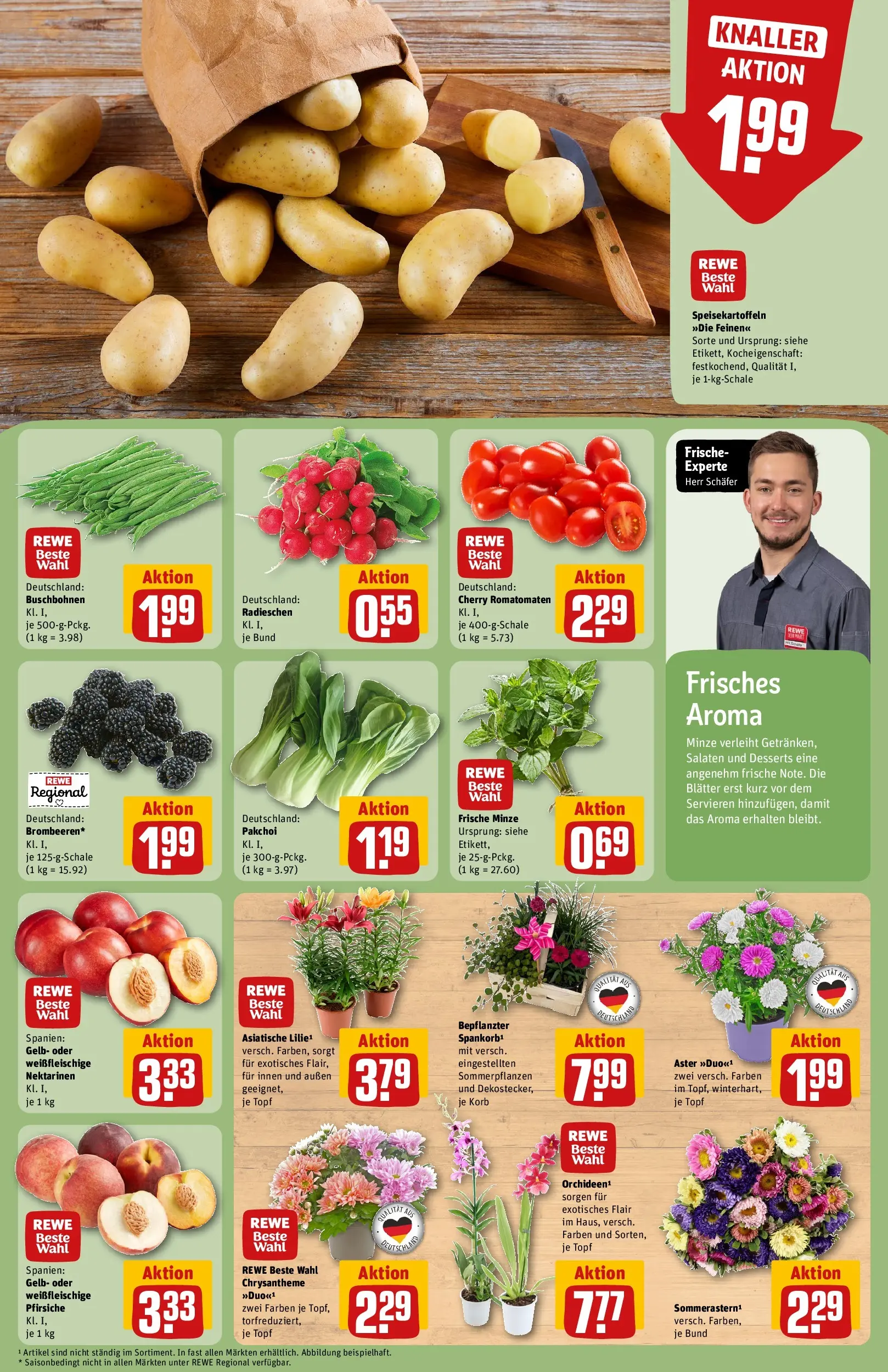 REWE Prospekt ab 03.08.2026 zum Blättern » Angebote | Seite: 7