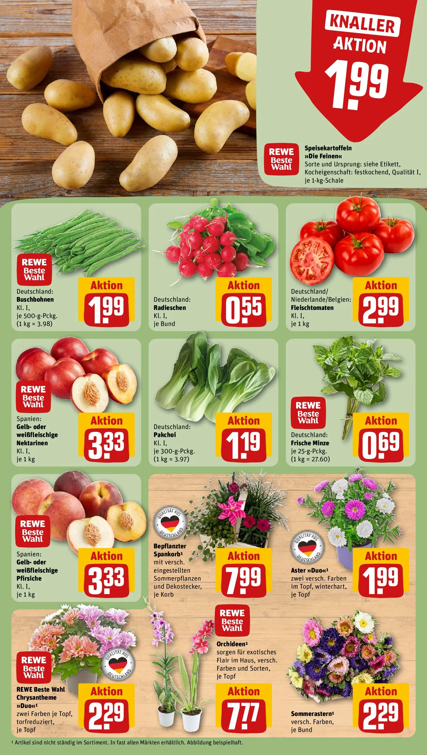 REWE Prospekt ab 03.08.2026 zum Blättern » Angebote | Seite: 7 | Produkte: Nektarinen, Korb