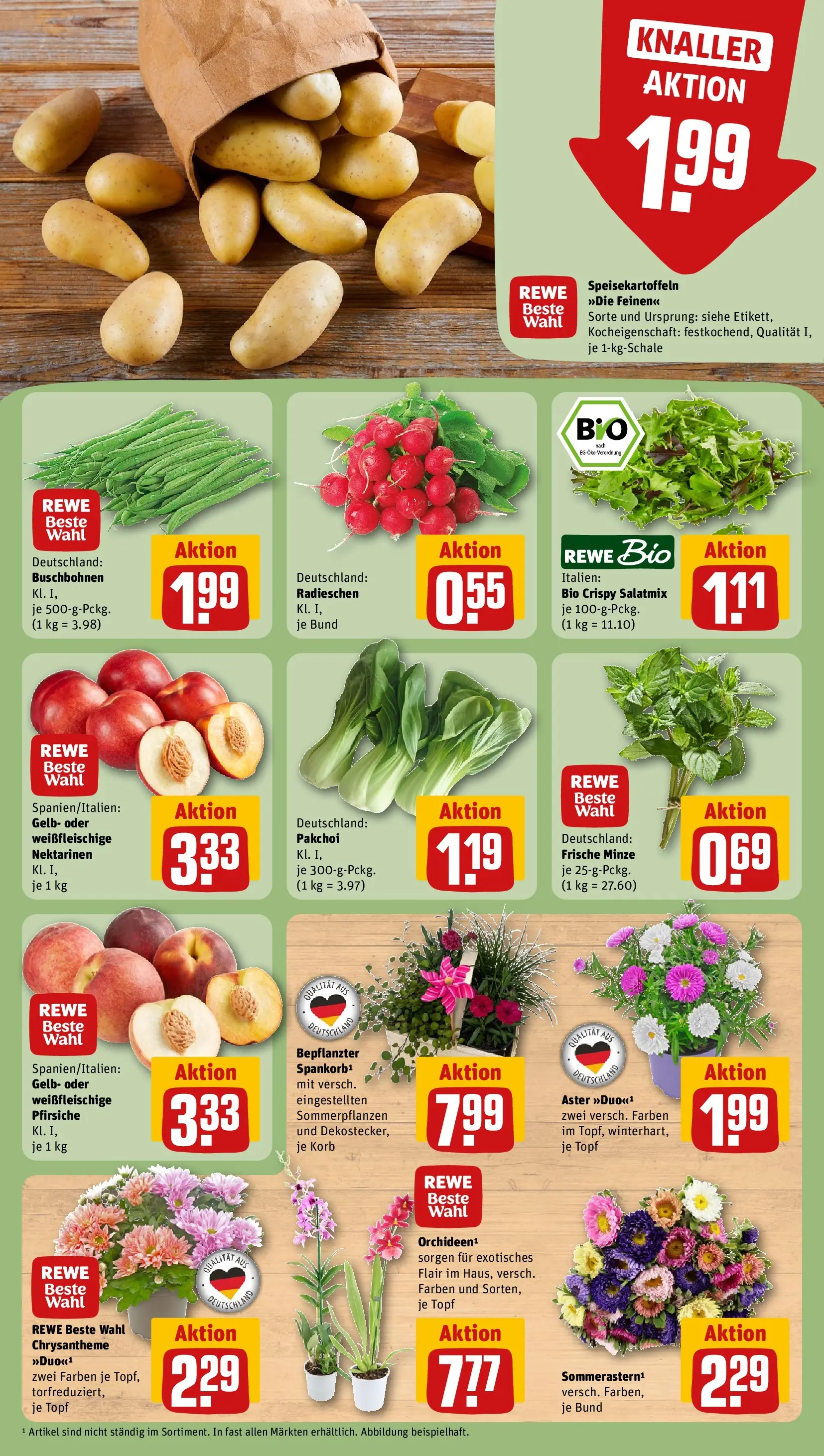 REWE Prospekt ab 03.08.2026 zum Blättern » Angebote | Seite: 7 | Produkte: Nektarinen, Korb