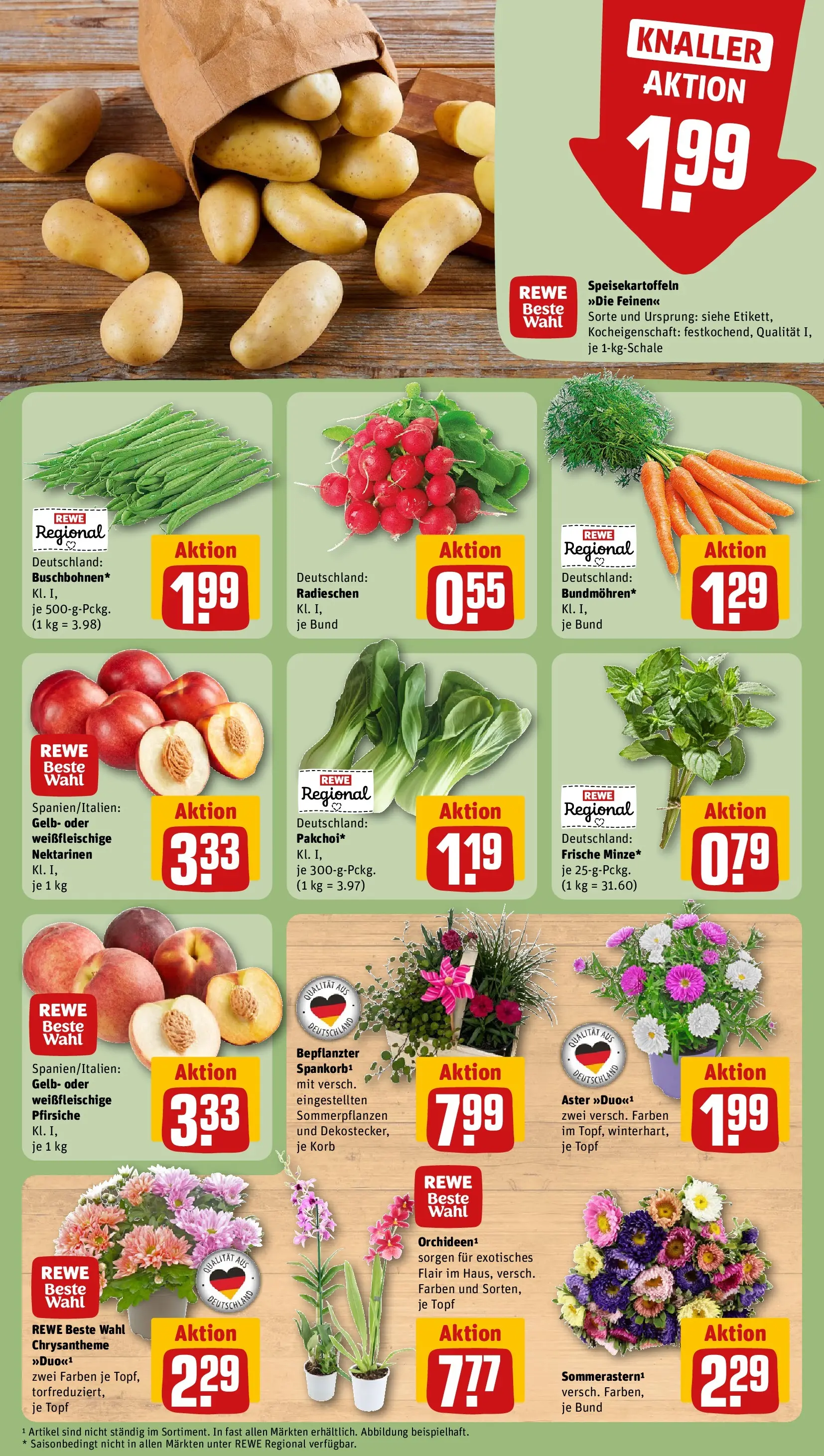 REWE Prospekt ab 03.08.2026 zum Blättern » Angebote | Seite: 7 | Produkte: Nektarinen, Korb