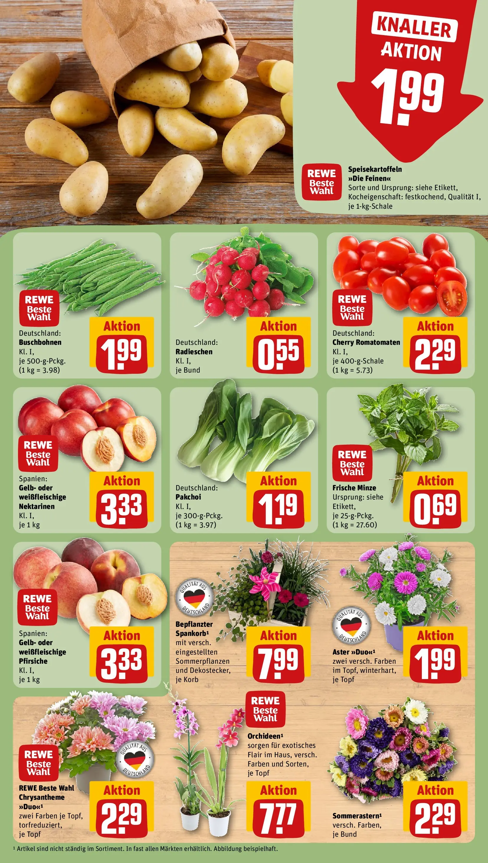 REWE Prospekt ab 03.08.2026 zum Blättern » Angebote | Seite: 7 | Produkte: Nektarinen, Korb