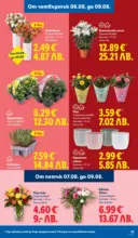 ЛИДЛ Вкусни моменти край грила с ЛИДЛ предложения с валидност до 09.08.2026 - до 09-08-26