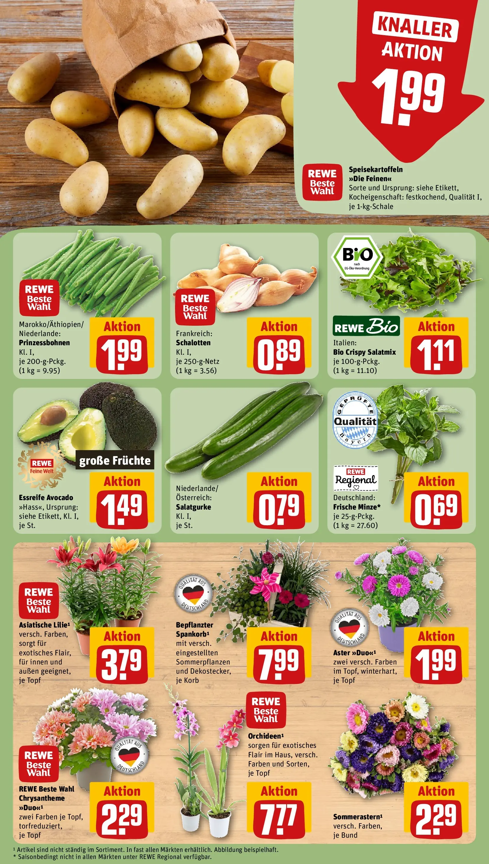 REWE Prospekt ab 03.08.2026 zum Blättern » Angebote | Seite: 7 | Produkte: Korb, Avocado