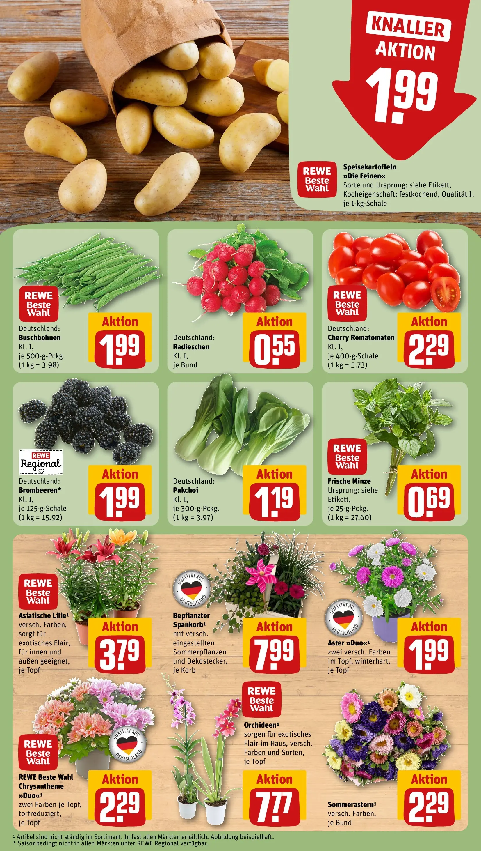 REWE Prospekt ab 03.08.2026 zum Blättern » Angebote | Seite: 7