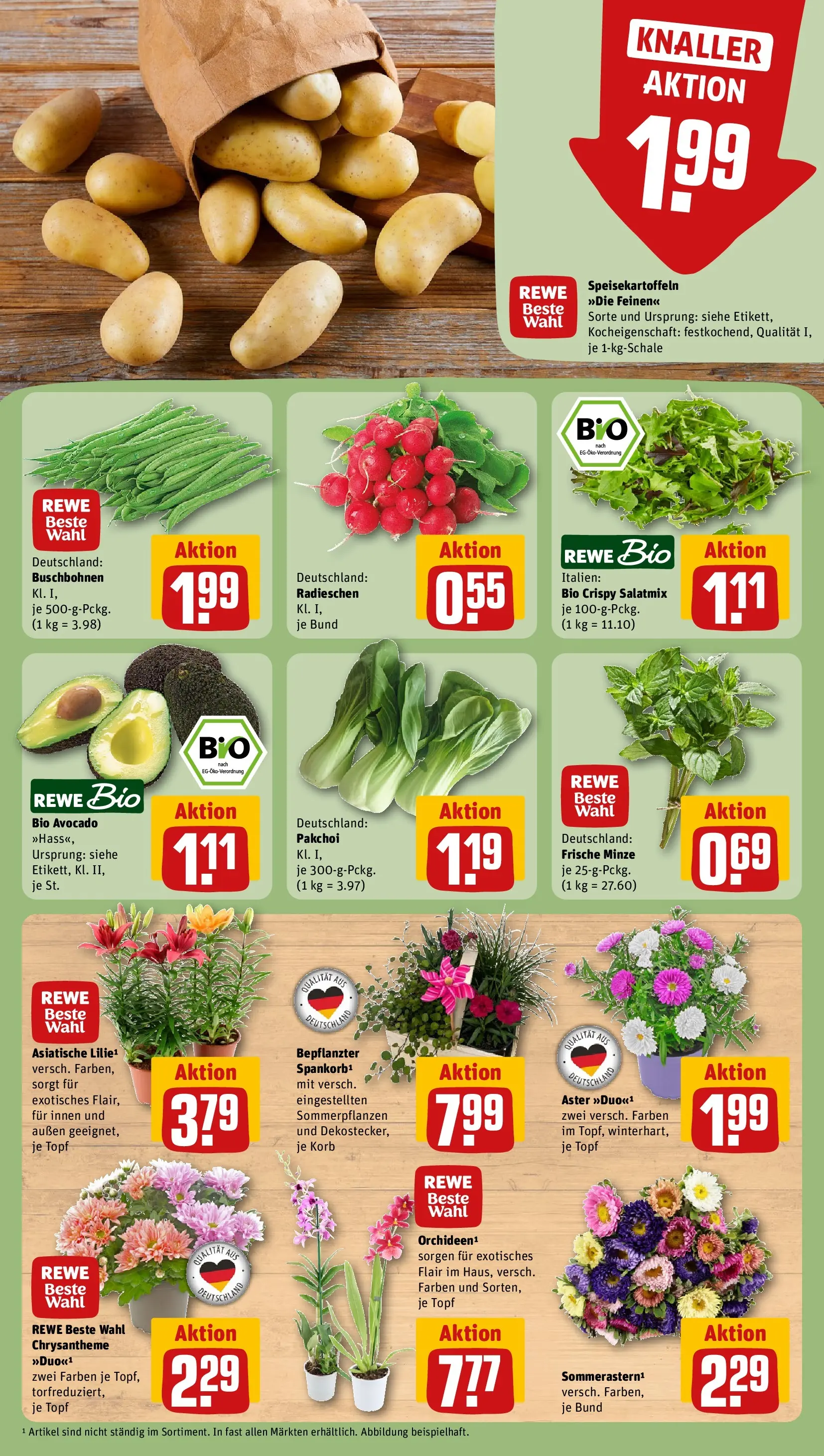 REWE Prospekt ab 03.08.2026 zum Blättern » Angebote | Seite: 7 | Produkte: Korb, Avocado