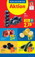Lidl Lidl - ab 06.08.2026