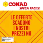 Conad Le offerte scadono i nostri prezzi no. - al 13.08.2026