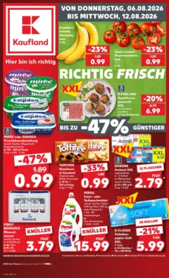 Kaufland Prospekt Bad Oldesloe ab 06.08.2026 gültig