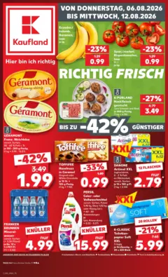 Kaufland Prospekt Hof ab 06.08.2026 gültig