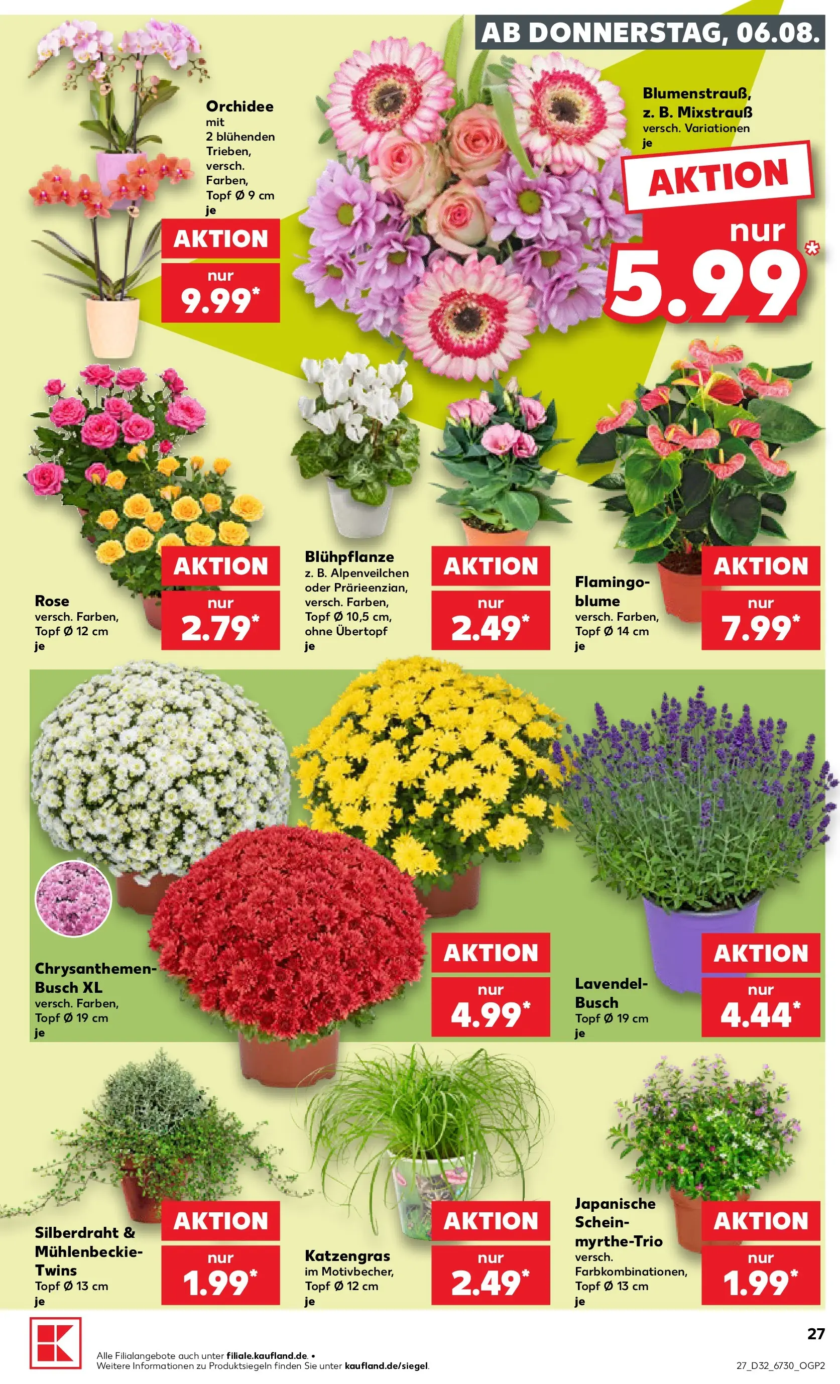 Prospekt Kaufland ab 03.08.2026 » Angebote Online zum Blättern | Seite: 36 | Produkte: Orchidee, Lavendel