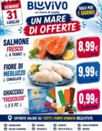 BluVivo Un mare di offerte - al 31.07.2026