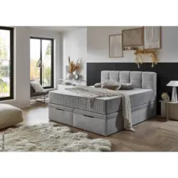 Boxbett Lugano