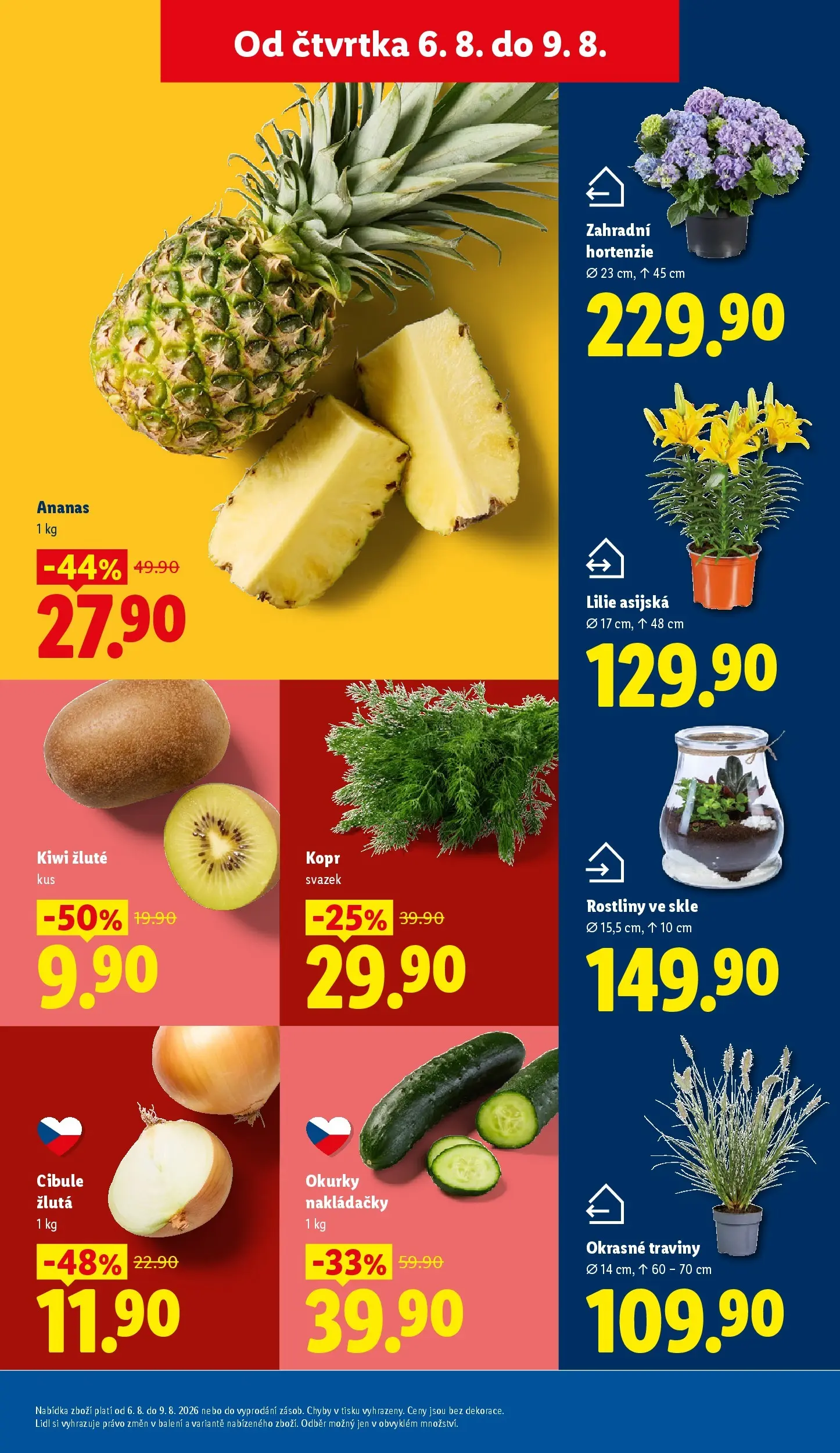 Lidl leták od 06.08.2026 - Nový akční leták | Strana: 13 | Produkty: Kopr, Ananas, Rostliny, Cibule