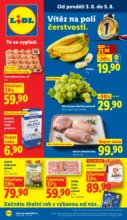 Lidl Lidl let&aacute;k do 05.08.2026 &ndash; do 05.08.2026