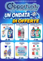 Opportunity Shop Un ondata di offerte - al 29.08.2026