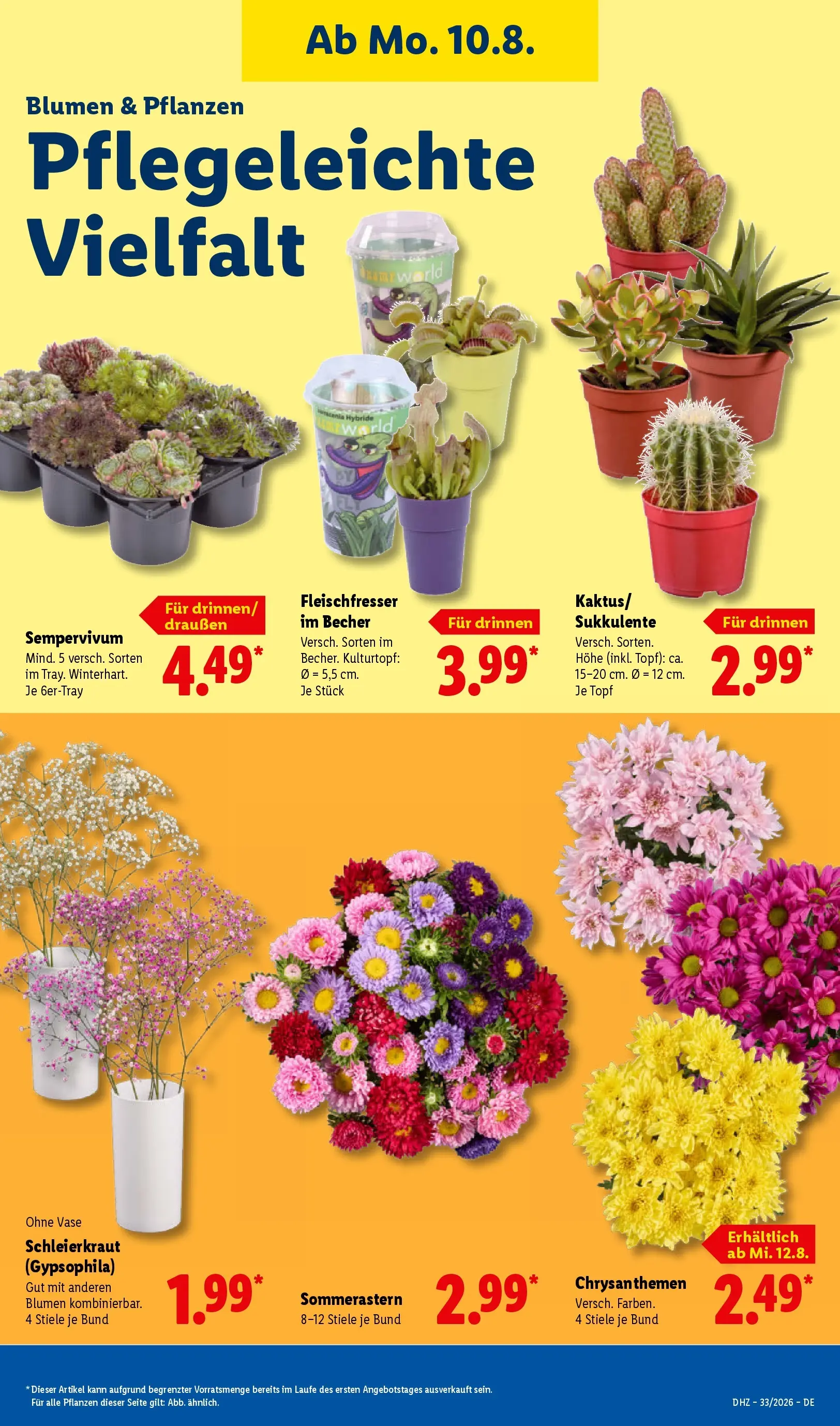 Lidl Prospekt Villingen-schwenningen (ab 10.08.2026) ยป Angebote online | Seite: 23 | Produkte: Blumen, Vase Lidl Prospekt Villingen-schwenningen (ab 10.08.2026) zum Blรคttern ยป Angebote | Seite: 23 | Produkte: Blumen, Vase