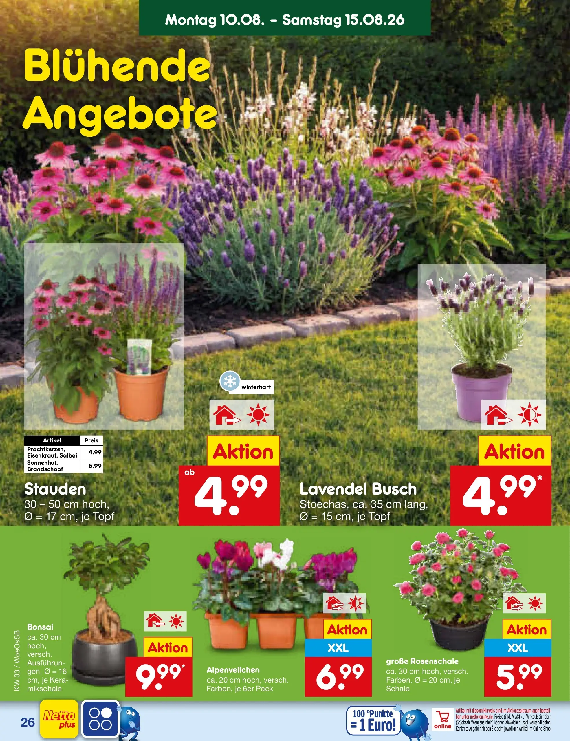 Netto Marken-Discount Prospekt Gemmingen (ab 10.08.2026) ยป Angebote | Seite: 38 | Produkte: Lavendel Netto Marken-Discount Prospekt Gemmingen (ab 10.08.2026) ยป Angebote | Seite: 38 | Produkte: Lavendel