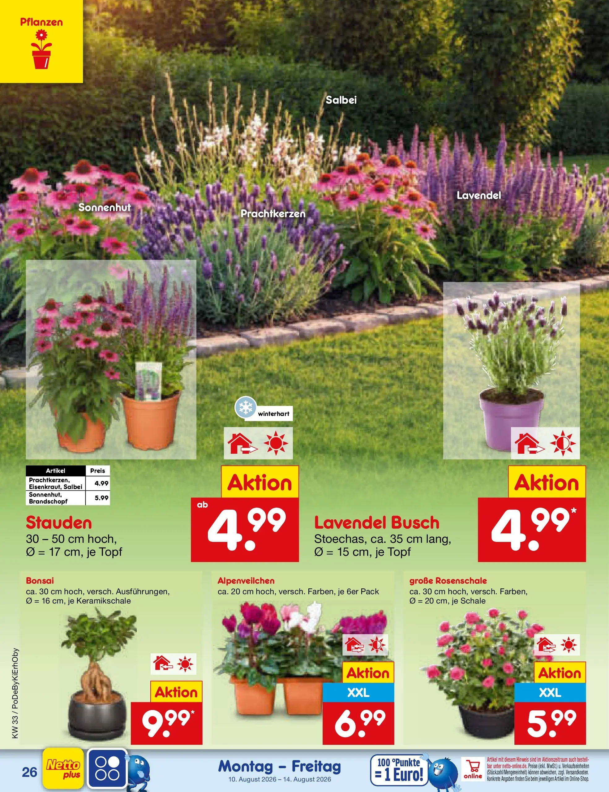 Netto Marken-Discount Prospekt Ergolding (ab 10.08.2026) ยป Angebote | Seite: 38 | Produkte: Lavendel Netto Marken-Discount Prospekt Ergolding (ab 10.08.2026) ยป Angebote | Seite: 38 | Produkte: Lavendel