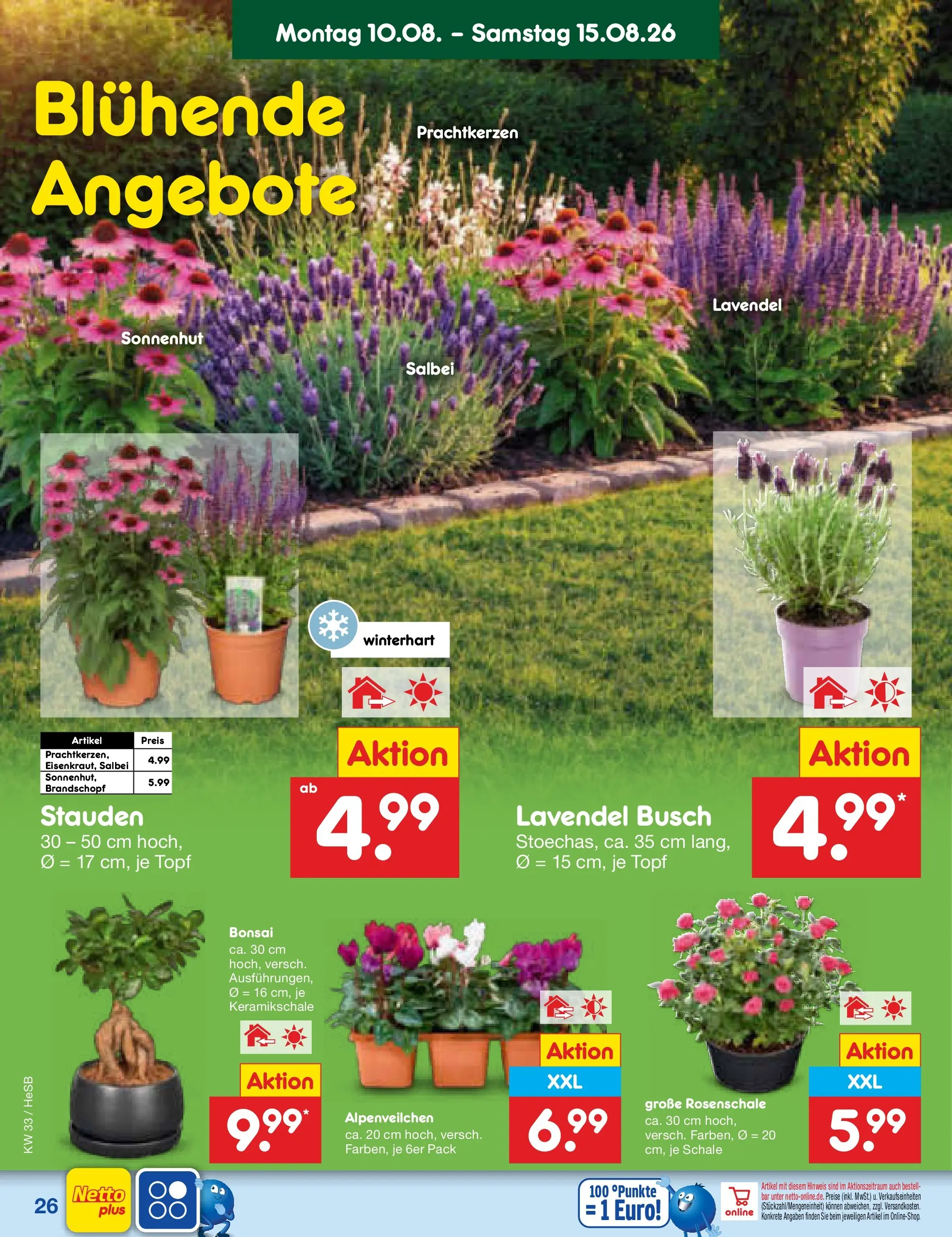 Netto Marken-Discount Prospekt Hamburg (ab 10.08.2026) ยป Angebote | Seite: 38 | Produkte: Lavendel Netto Marken-Discount Prospekt Hamburg (ab 10.08.2026) ยป Angebote | Seite: 38 | Produkte: Lavendel