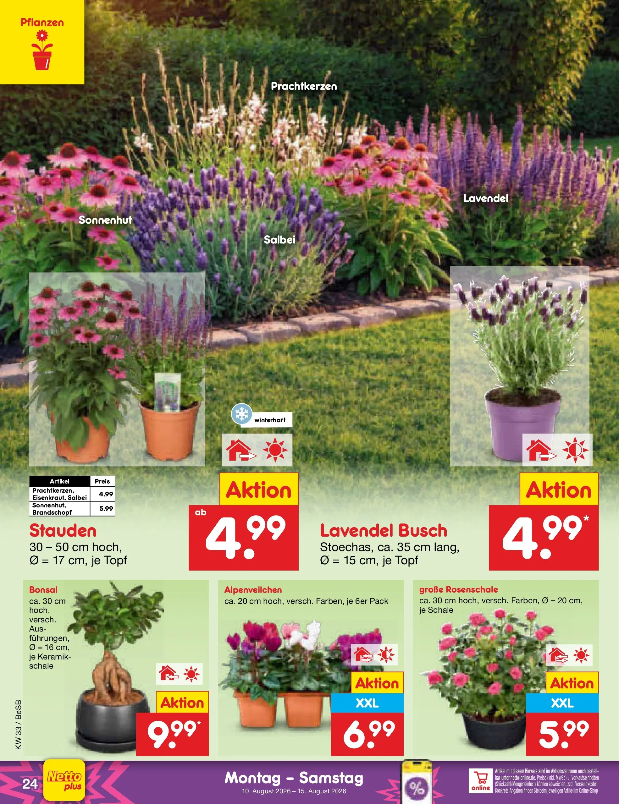 Netto Marken-Discount Prospekt Kremmen (ab 10.08.2026) » Angebote | Seite: 40 | Produkte: Lavendel