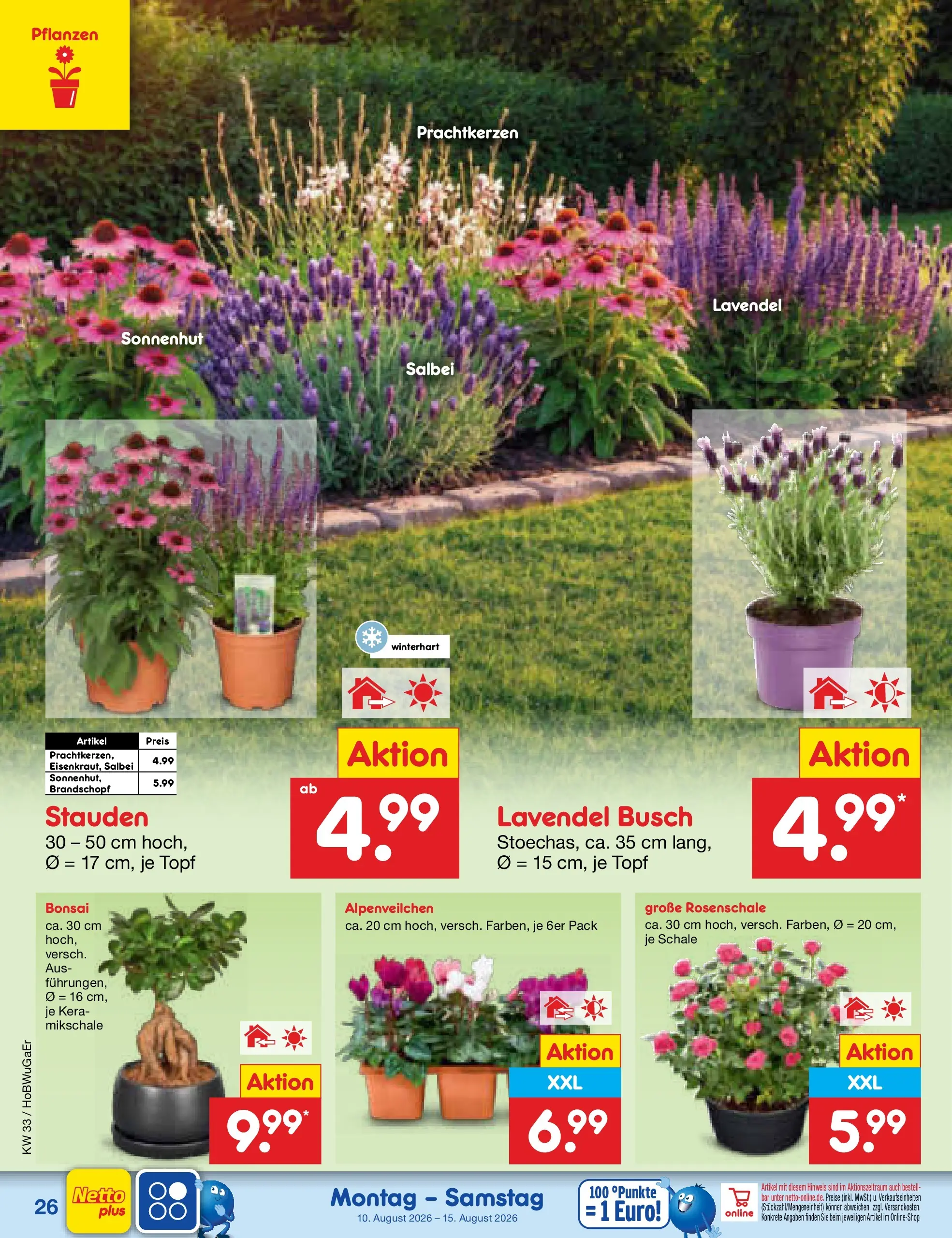Netto Marken-Discount Prospekt Stemwede-Dielingen (ab 10.08.2026) ยป Angebote | Seite: 38 | Produkte: Lavendel Netto Marken-Discount Prospekt Stemwede-Dielingen (ab 10.08.2026) ยป Angebote | Seite: 38 | Produkte: Lavendel