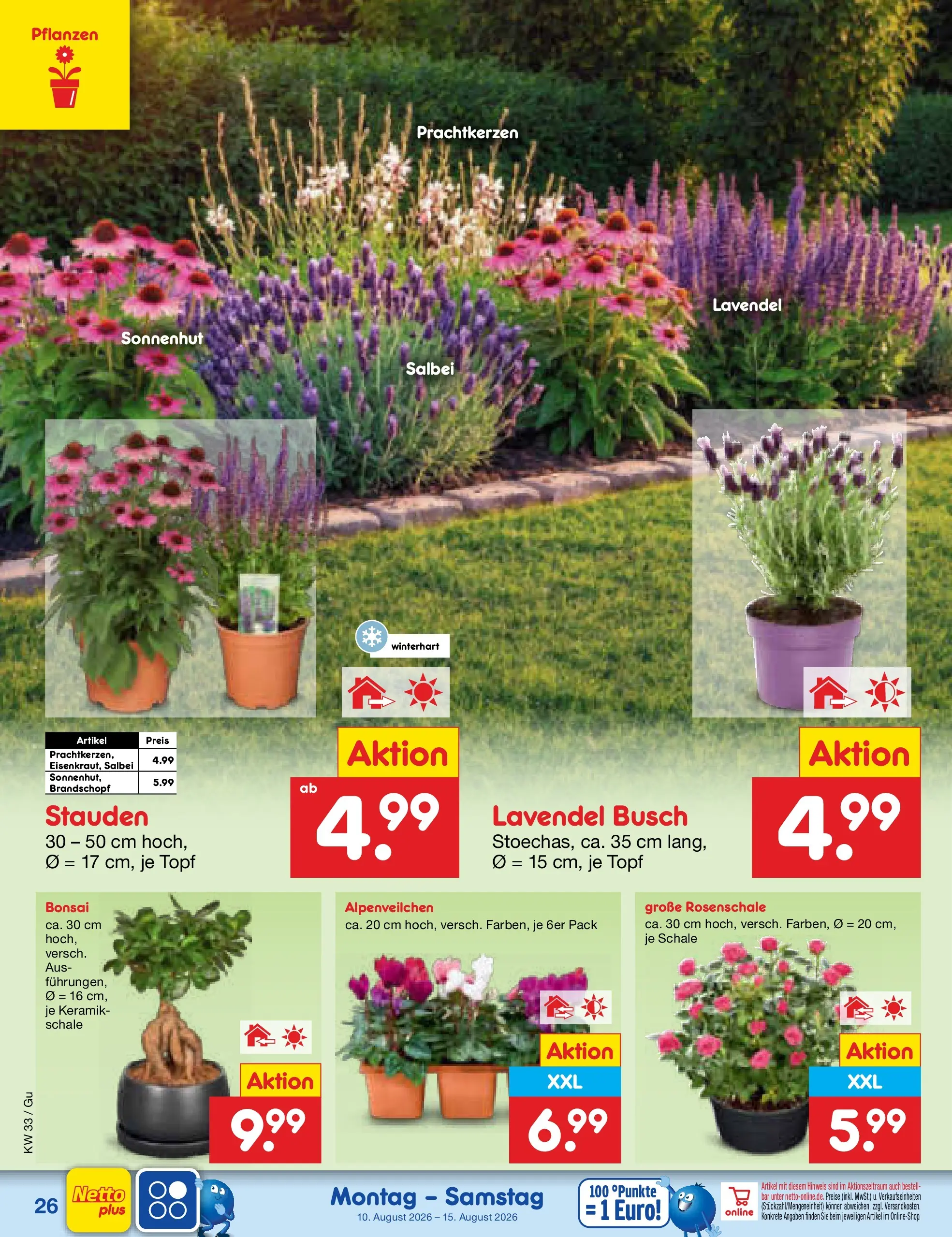 Netto Marken-Discount Prospekt Machern (ab 10.08.2026) ยป Angebote | Seite: 38 | Produkte: Lavendel Netto Marken-Discount Prospekt Machern (ab 10.08.2026) ยป Angebote | Seite: 38 | Produkte: Lavendel