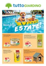 IFS s.r.l. Estate! - al 31.08.2026