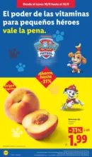 &iexcl;Bazar Lidl!- Ofertas v&aacute;lidas del 10/08 al 16/08