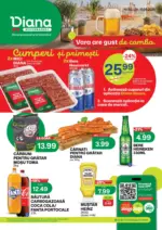 Diana Catalog Diana p&acirc;nă &icirc;n data de 15.08.2026 - p&acirc;nă la 15-08-26