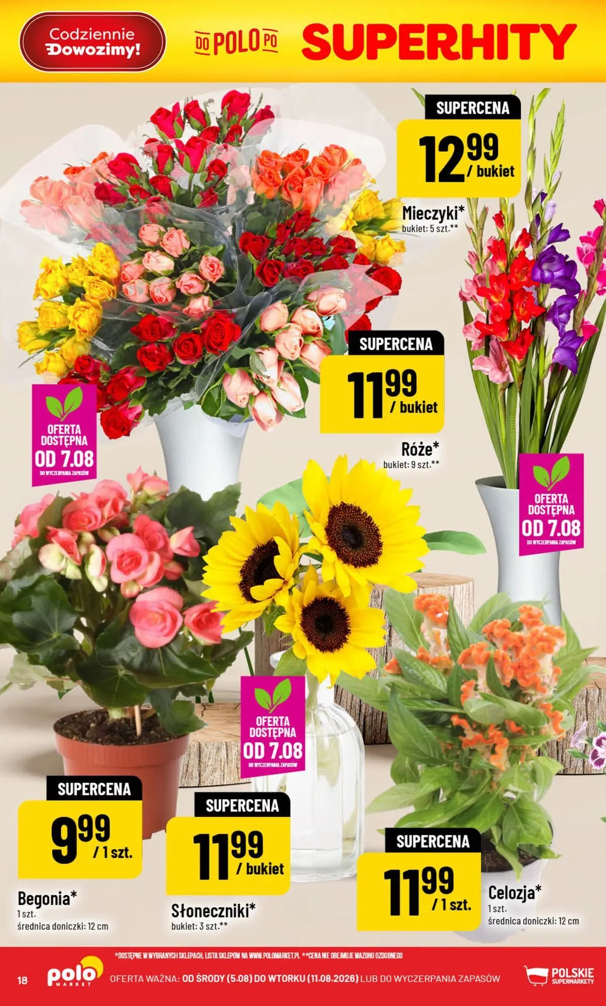 Nowa POLOmarket gazetka od jutra (05.08.2026) | Strona: 18 | Produkty: Doniczki Nowa POLOmarket gazetka od jutra 05.08.2026 | Strona: 18 | Produkty: Doniczki